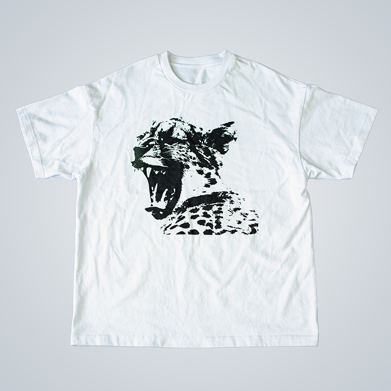 yeqex-001